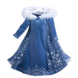 Disney Frozen Princess Elsa and Anna Costume Dress